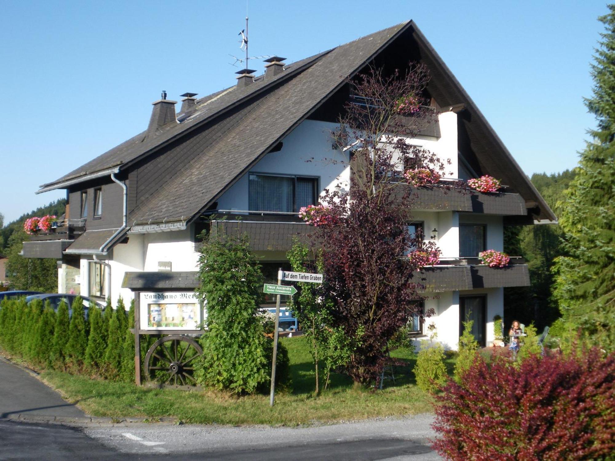 Ferienwohnungen Landhaus Meran Inkl Meinecardplus 빌링겐 외부 사진